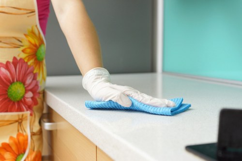 Professional oven cleaning service in a Horeditch kitchen