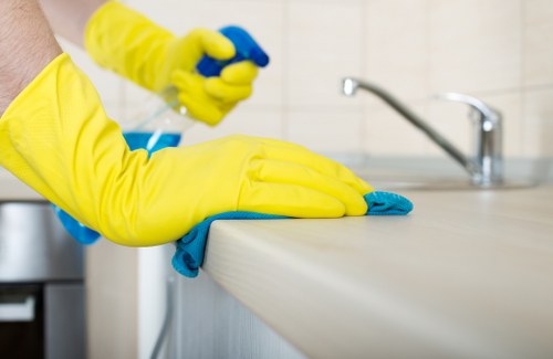 Regular domestic cleaning in a busy Horeditch home