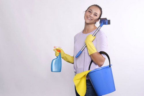 Kitchen and bathroom finishing touches in an after builders cleaning service